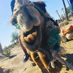 اديلايد Who are Zazate.WAV