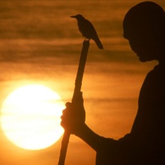 A Part Of Something Greater (Live PA)