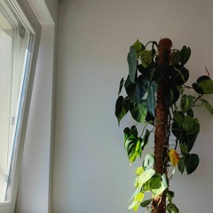 Anyone - Carmen (original by Demi Lovato).m4a