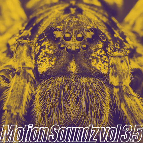 Motion Soundz Vol. 3.5