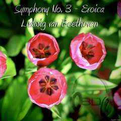 Symphony No. 3 In E Flat Major, Op. 55 'Eroica'- IV Finale - Allegro molto - Poco andante - Presto - Ludwig Van Beethoven (8D Binaural Remastered - Music Therapy)
