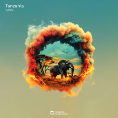 Cybek - Tanzania