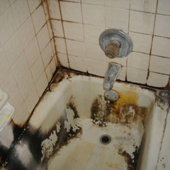 Peut-être qu’on sera heureux ( 2021 )