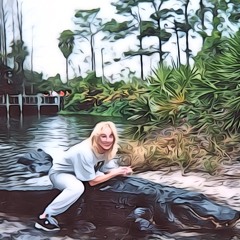 ALLIGATOR 4 GC EQ