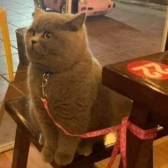 Last Christmas Giáng Sinh Vui Vẻ ^_^