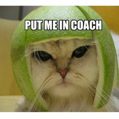 Hiring A Coach, Mentor, or Consultant?  What To Ask For And What To Ignore.