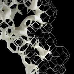 Mycelial Network