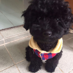 你點知今日會好天架？唔知架希望在明天丫嘛……