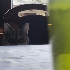 !BEN - !ROZJAZD sped up (nie sped up)