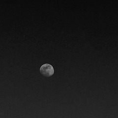 5. A Love Song prod. eeryskies