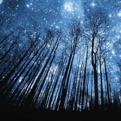 NO MAN'S LAND - December 25 - Radio Mix 2025