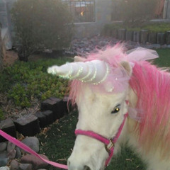 SOPHIE - PONYBOY (ADRIANA BEATS REMIX)