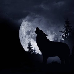 🐺 A Small Town 🏘️