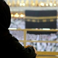 جبر الخواطر #2|المجادلة السعيدة