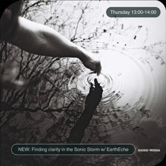 ___111 ø Finding Clarity In the Sonic Storm ø Radio Worm___ ø