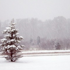 White Christmas