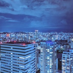 帝国少女 - cover