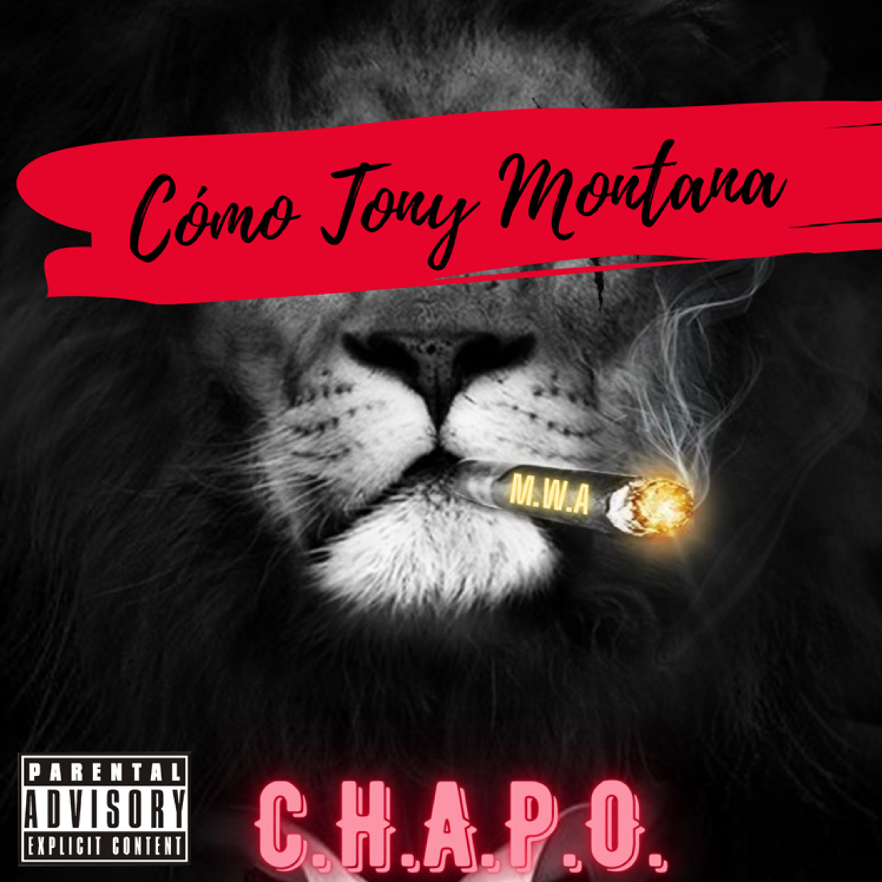 C.H.A.P.O.
