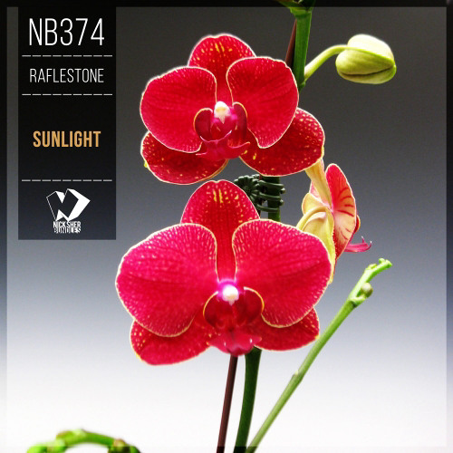RafleSTone - Sunlight (Extended Mix)