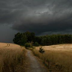 Yung Lean - Agony Instrumental remix