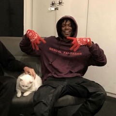Lucki - Smater Not Harder Ft. Kani ( Unreleased )