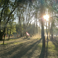 Groove Avenue - VOL 001