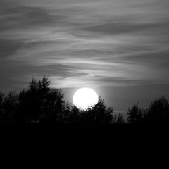 Just After The Disaster