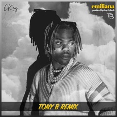 Ckay - Emiliana (TONY B Remix)[EXTRAIT COPYRIGHT]
