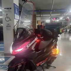 평범하게 네 곁에 있고 싶어 리믹스