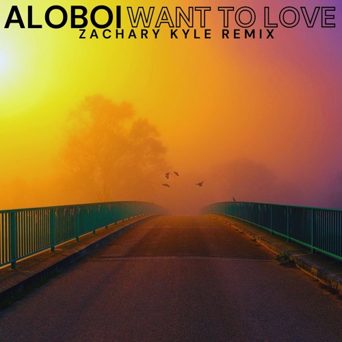 Aloboi - Want To Love(Zachary Kyle Remix)