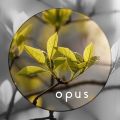 Four Leaves [OPUS010]
