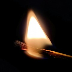 tnt