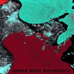 // S i M p L e  MUSIC  E x P e R i E n C e //  (ThiS  SidE)