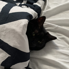 FRIENDSHIPMAN - Haunted (no mix).mp3