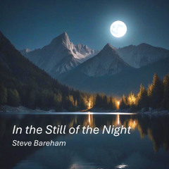 In the Still of the Night