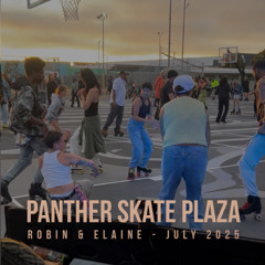 Panther Skate Plaza - July 2025 - The Reopening