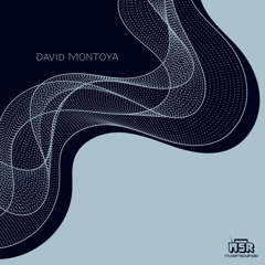 Episode 351 David Montoya