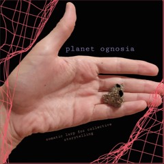 Planet Ognosia_Activation of the Tender Narrator