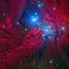 Fox Fur Nebula NGC 2264