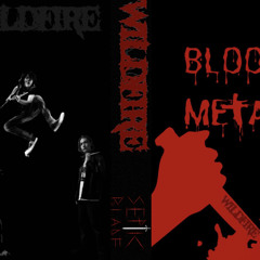 Blood Metal (DEMO)