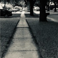 Reedadamsboi - This Blunt