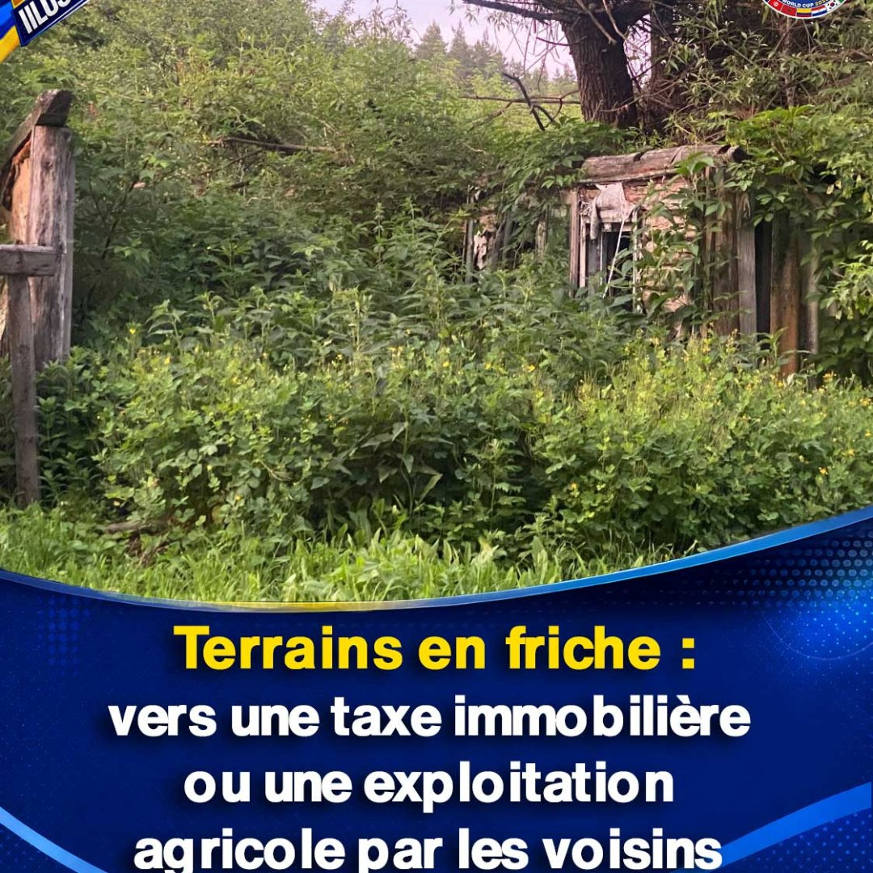Terrains en friche : vers une taxe immobilière ou une exploitation agricole par les voisins