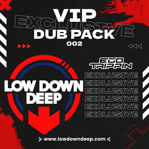 LDD VIP 002 - 09 Ego Trippin - Change The Beat VIP