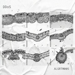 VA ▪ DDoS [ALGRTM005]