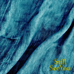 still see you - ViGZ x alec bry
