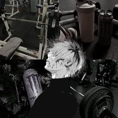 LEAST SCHIZO GYM PR AUDIO