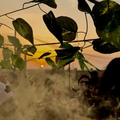 Qasmi | SAIF | Emad Najum | Roshaan - Sunrise @ Fauna