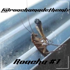 Roacha 01