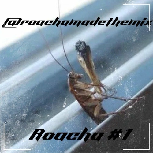 Roacha 01