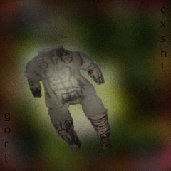 GORT - COCAINE MOUNTAIN [cxsh! remix]